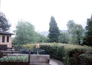 firhill_garden2.jpg (30042 bytes)