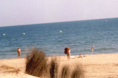 Beach1a.jpg (25772 bytes)