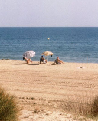 Beach2a.jpg (32246 bytes)